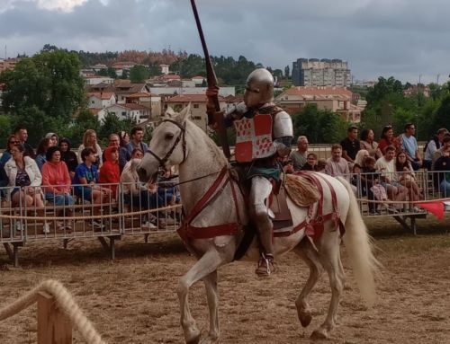 8ª edição da Feira Medieval de Paços de Ferreira encerrou este domingo