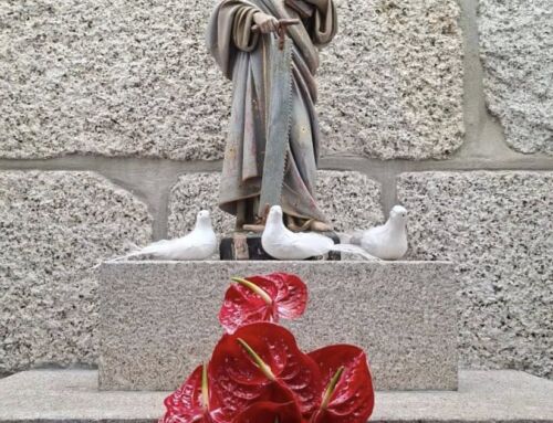 Urrô celebra o S. Simão