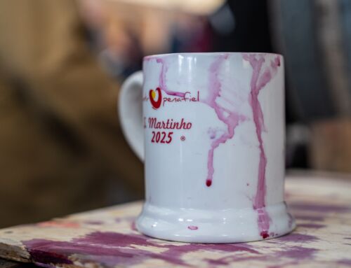 Já começou o S. Martinho, em Penafiel