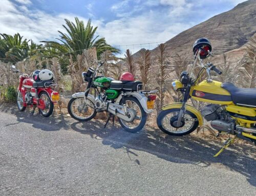 300 motas participaram no Passeio ao Frio