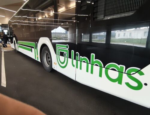‘Linhas’ trazem 250 autocarros à região