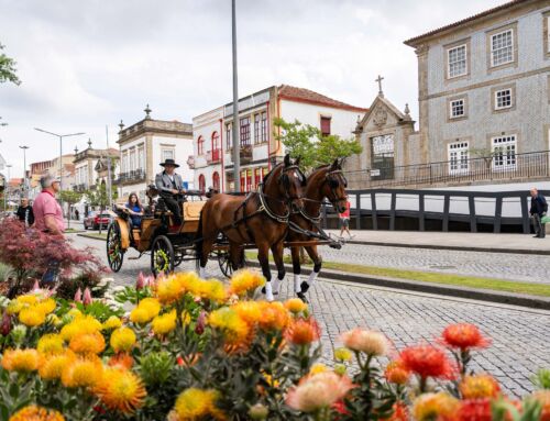 Flores e Sabores voltou a colorir Penafiel