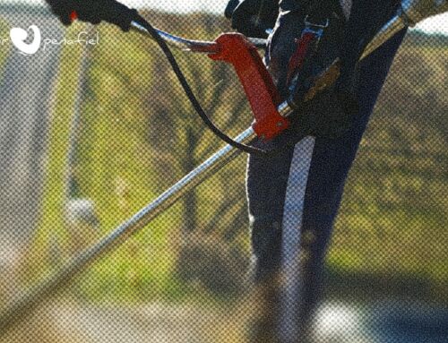 Penafiel reforça prevenção contra incêndios