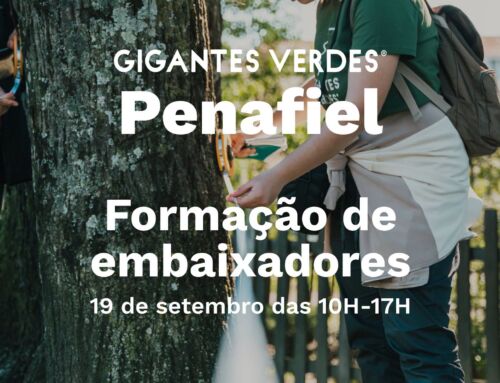 Penafiel acolhe formação sobre gigantes verdes