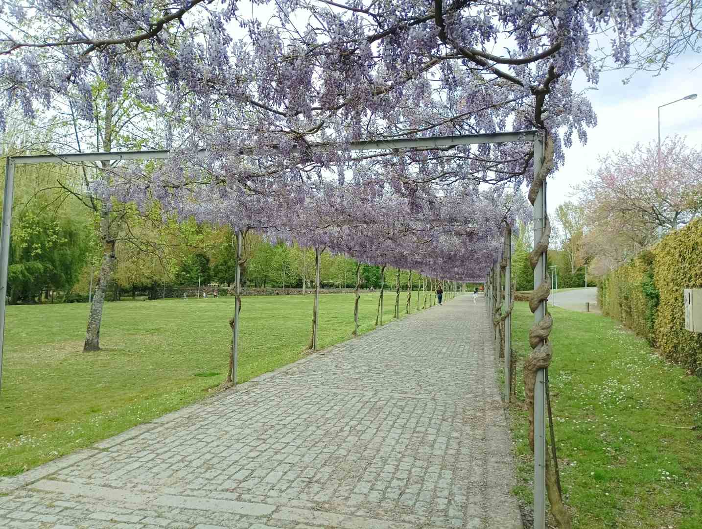 parque