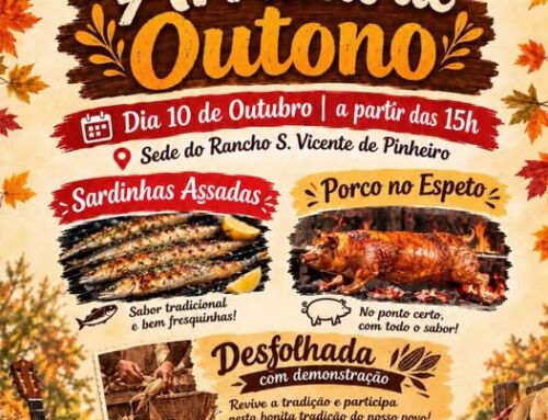 Arraial de Outono vai animar Termas de S. Vicente